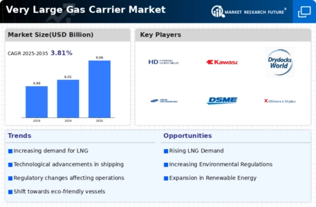 Very Large Gas Carrier Market
 Infographic
