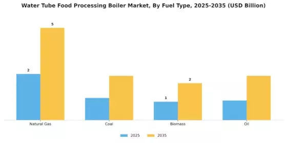 Water Tube Food Processing Boiler Market
 Segment Image 0