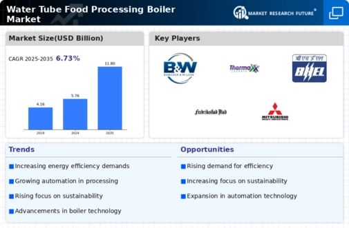 Water Tube Food Processing Boiler Market
 Infographic