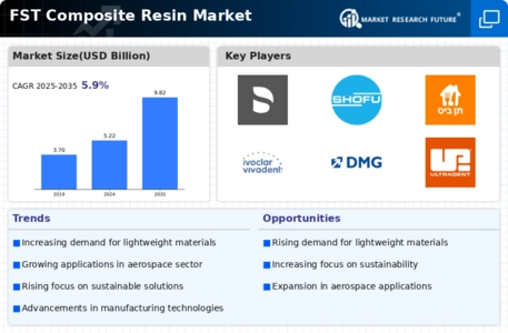 FST Composite Resin Market Infographic