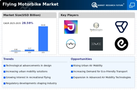 Flying Motorbike Market Infographic