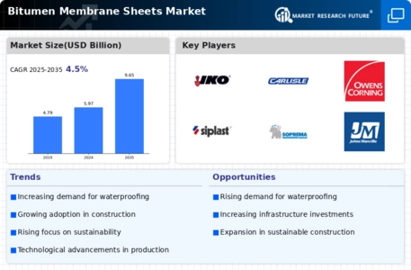 Bitumen Membrane Sheets Market Infographic