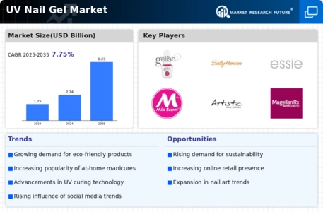 UV Nail Gel Market Infographic