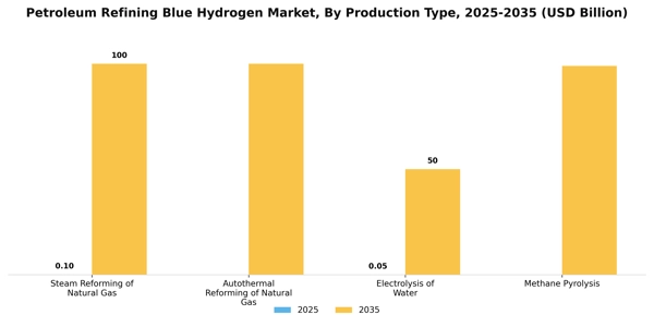 Petroleum Refining Blue Hydrogen Market Segment Image 4