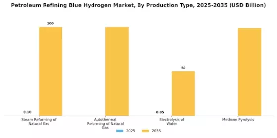 Petroleum Refining Blue Hydrogen Market Segment Image 0
