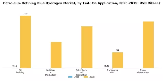 Petroleum Refining Blue Hydrogen Market Segment Image 2