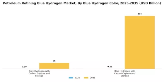 Petroleum Refining Blue Hydrogen Market Segment Image 4