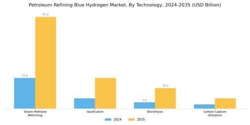 Petroleum Refining Blue Hydrogen Market Segment Image 2