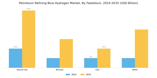 Petroleum Refining Blue Hydrogen Market Segment Image 3