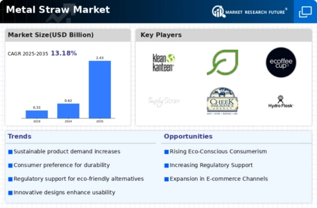 Metal Straw Market Infographic