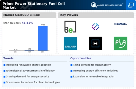 Prime Power Stationary Fuel Cell Market Infographic