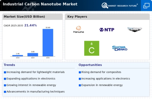 Industrial Carbon Nanotube Market Infographic