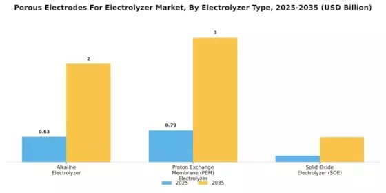 Porous Electrodes Electrolyzer Market Segment Image 3