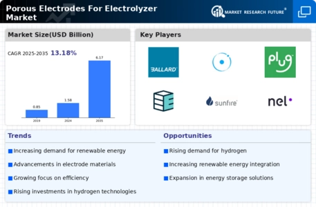 Porous Electrodes Electrolyzer Market Infographic
