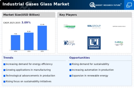 Industrial Gases Glass Market Infographic