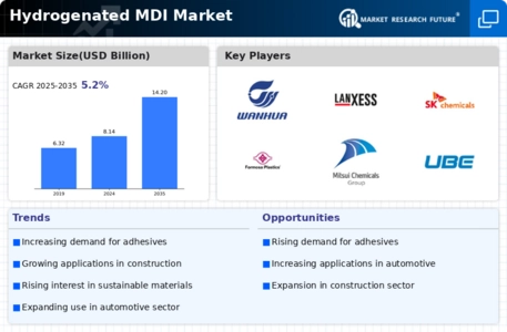 Hydrogenated MDI Market Infographic