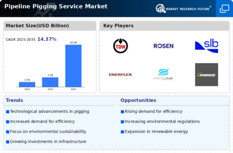 Pipeline Pigging System Market Infographic