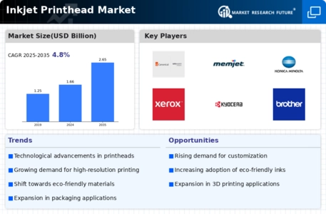 Inkjet Printhead Market Infographic