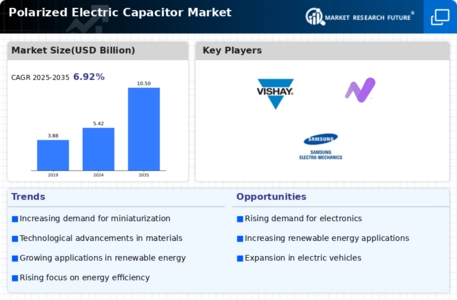 Polarized Electric Capacitor Market Infographic