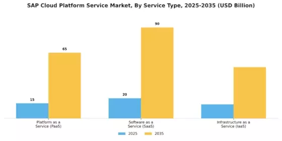 SAP Cloud Platform Service Market Segment Image 1