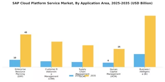 SAP Cloud Platform Service Market Segment Image 2