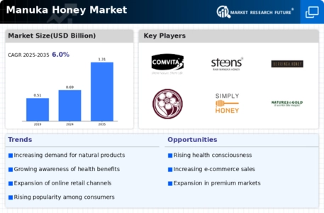 Manuka Honey Market Infographic