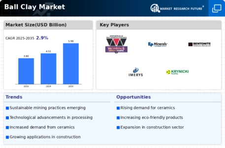 Ball Clay Market Infographic