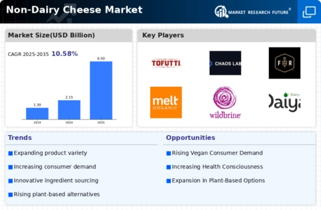 Non-dairy cheese Market Infographic