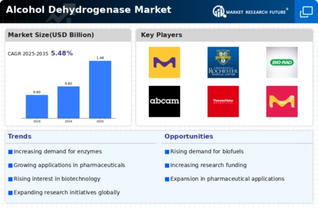 Alcohol Dehydrogenase Market Infographic