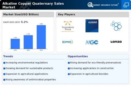 Alkaline Copper Quaternary Sales Market Infographic
