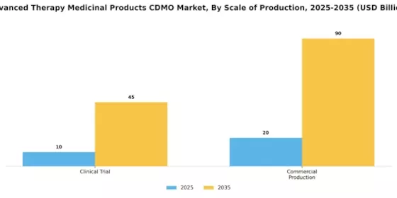 Advanced Therapy Medicinal Products Cdmo Market Segment Image 2