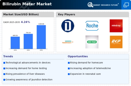 Bilirubin Meter Market  Infographic
