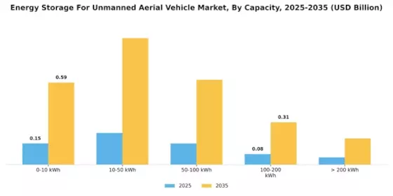Energy Storage For Unmanned Aerial Vehicle Market Segment Image 1