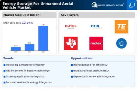 Energy Storage For Unmanned Aerial Vehicle Market Infographic