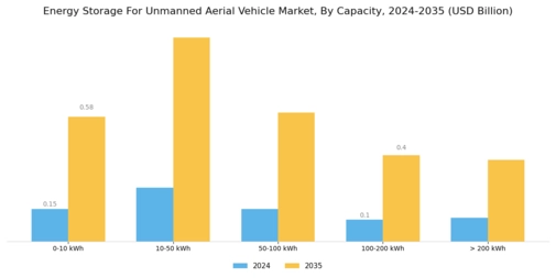 Energy Storage For Unmanned Aerial Vehicle Market Segment Image 1