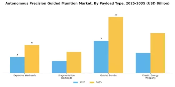 Autonomous Precision Guided Munition Market Segment Image 2