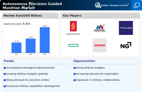 Autonomous Precision Guided Munition Market Infographic