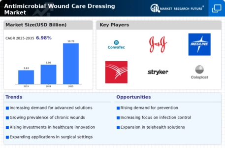 Antimicrobial Wound Care Dressing Market Infographic