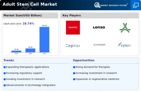 Adult Stem Cell Market Infographic