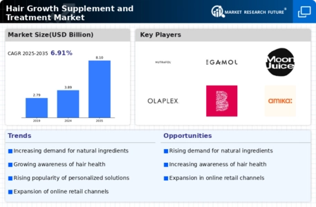 Hair Growth Supplement And Treatment Market Infographic