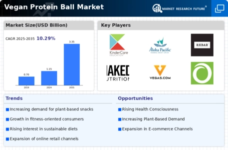 Vegan Protein Ball Market
 Infographic