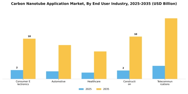 Carbon Nanotube Application Market Segment Image 1