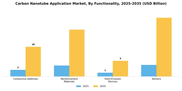 Carbon Nanotube Application Market Segment Image 2