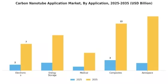 Carbon Nanotube Application Market Segment Image 0