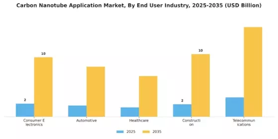 Carbon Nanotube Application Market Segment Image 3