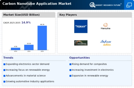 Carbon Nanotube Application Market Infographic