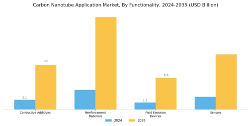 Carbon Nanotube Application Market Segment Image 2