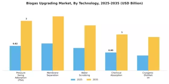 Biogas Upgrading Market Segment Image 0