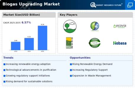 Biogas Upgrading Market Infographic
