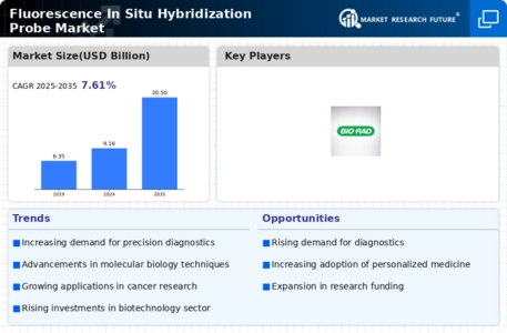 Fluorescence In Situ Hybridization Probe Market Infographic